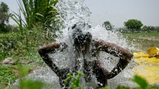 Registran récord de temperatura en Nueva Delhi, aunque podría tratarse de una "falla" en el registro