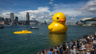 Giant rubber duck no match for Hong Kong's baking heat