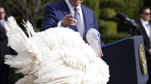 Biden grazia i tacchini Peach e Blossom per il Thanksgiving