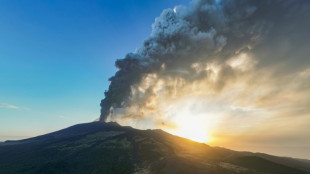 Sicily's Catania airport back in service after Etna activity
