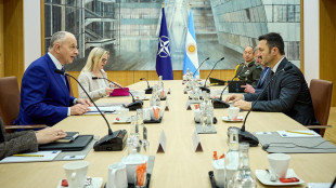 L'Argentina presenta la candidatura a socio globale della Nato