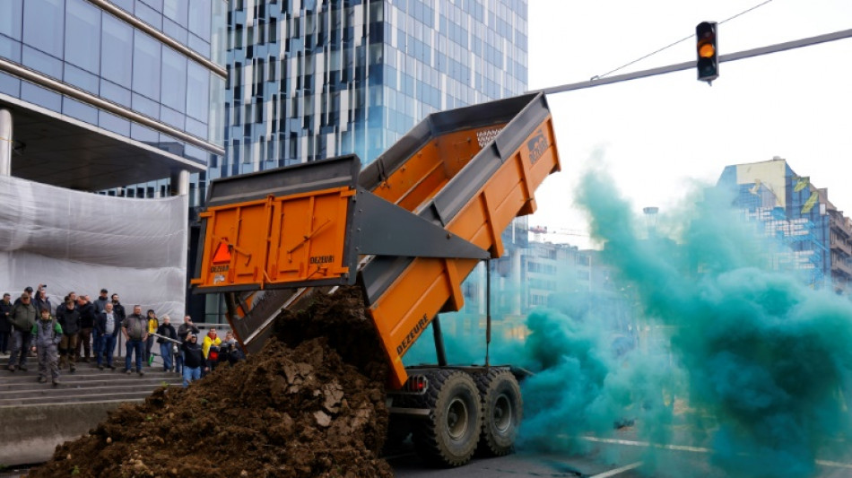 Colère agricole: les 27 valident la révision de la PAC, les tracteurs de retour à Bruxelles