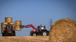 La inflación en Francia alcanza el 6,2% en febrero y la actividad económica desacelera