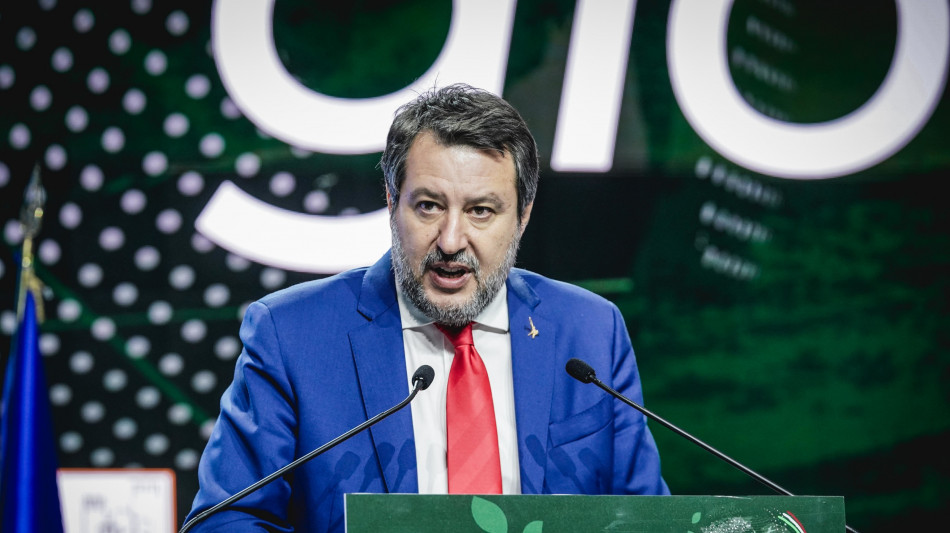 Salvini, non è successo nulla, nessun problema in maggioranza