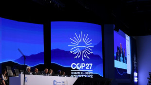 "Histórico" pero "insuficiente": las reacciones al acuerdo de la COP27