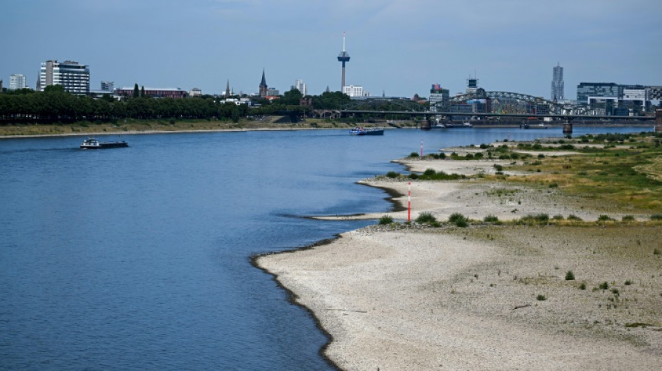 Industrieverband BDI fürchtet Stillstand der Binnenschifffahrt wegen Niedrigwasser