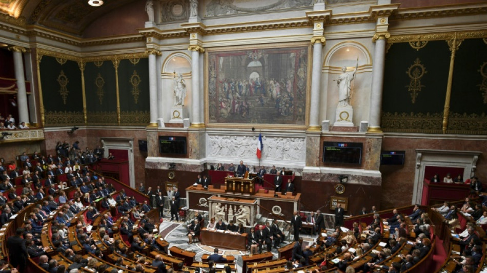 Dernière séance à l'Assemblée nationale au parfum de campagne électorale