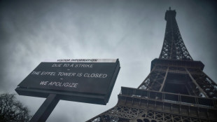 Les touristes privés de tour Eiffel en raison d'une grève reconductible