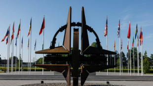 Bundestagsdebatte zu 75 Jahre Nato - Baerbock: Russland bleibt größte Bedrohung