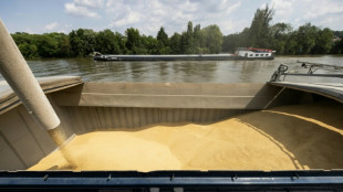 Des JO en pleine moisson, le trafic contrarié des céréales sur la Seine