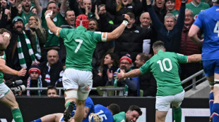 Six nations: le XV de France stoppé net en Irlande