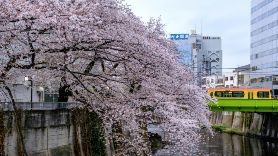 Japan business confidence dips as Ukraine concern grows