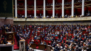 L'Assemblée soutient largement l'accord avec l'Ukraine, sans le RN ni LFI