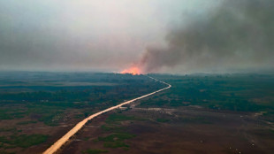 Mudanças climáticas e expansão agrícola favorecem queimadas no Pantanal, diz especialista