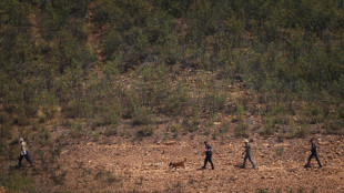 Affaire Maddie: troisième journée de fouilles près d'un lac au Portugal