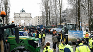 Bauernpräsident bittet von Protestaktionen Betroffene um Verständnis