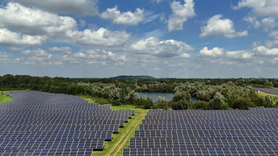 Plein soleil : les principaux projets d'énergie solaire dans le monde