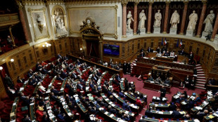 "Coup de tonnerre": le traité Ceta rejeté par les sénateurs dans un hémicycle enflammé