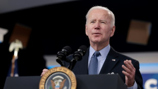 Biden weighs record release of US oil reserves: reports