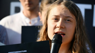 Greta Thunberg pulls out of book festival over fossil fuel ties