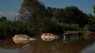 Floods wiped out quarter of Greek farm produce: experts