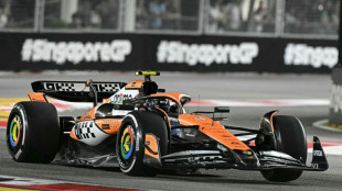 McLaren's Norris sets Singapore pace as struggling Verstappen 15th