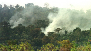 In fiamme il parco storico del Brasile, inceneriti 200 ettari