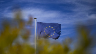 Forscher: EU muss Investitionen zur Erreichung ihrer Klimaziele für 2030 verdoppeln