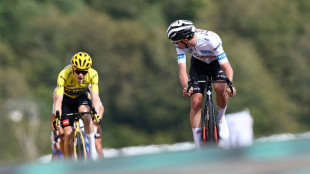 Tour de France: la victoire pour Pogacar, le sacre promis à Vingegaard, les frissons pour Pinot