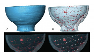 La micro-tomografia per lo studio delle antiche ceramiche
