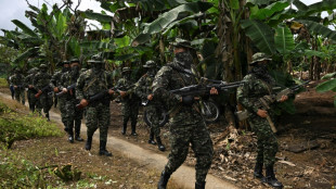 Colombia rebel group imposes control in restive coca zone