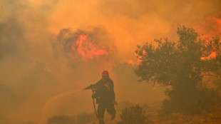 L'Europe a subi en 2023 un record de jours de "stress thermique extrême"