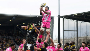 Top 14: le Stade français chute à La Rochelle, Toulouse surpris à Perpignan