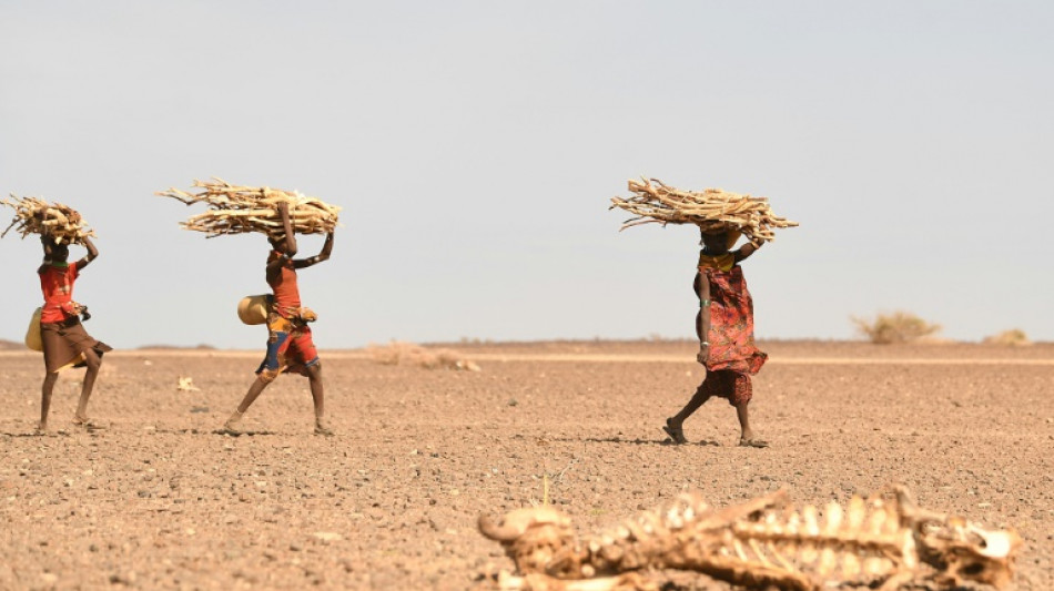 Kenia se prepara para votar mientras ignora la sequía que tiene a millones con hambre