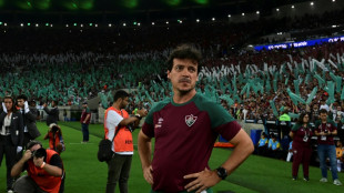 Fluminense anuncia demissão de Fernando Diniz