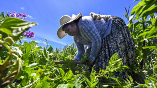 Bertha Aguilar, a advogada aimará das indígenas discriminadas na Bolívia