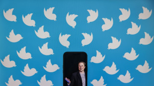 Musk will Twitter nun doch kaufen