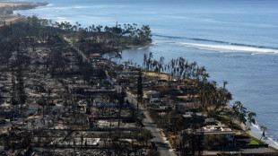 Havaí anuncia acordo bilionário para encerrar processos por incêndios florestais