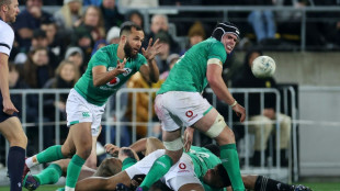 Tournoi des six nations: l'Irlande sans Furlong ni Gibson-Park contre les Bleus