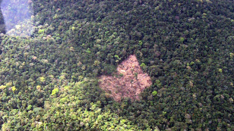 Nicaragua reclama al fondo climático de la ONU por cancelar un plan de reforestación