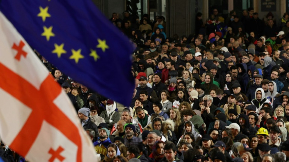 Thousands protest alleged election fraud in Georgia 