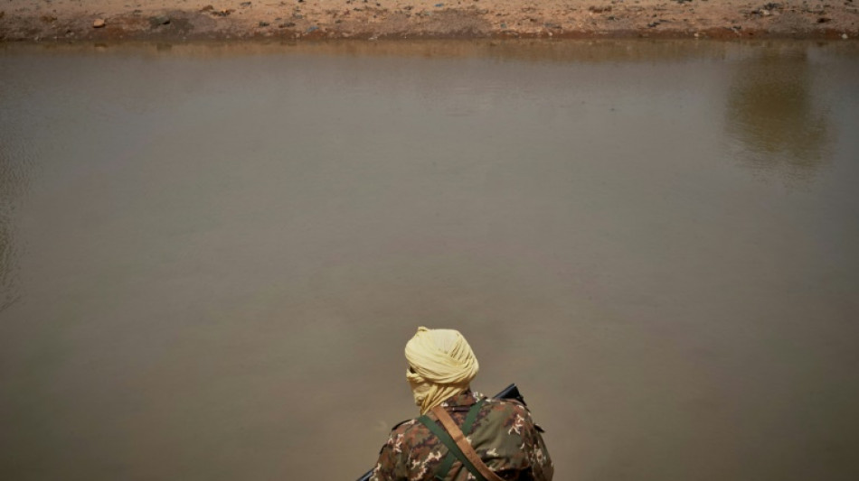 Mali: l'armée dit avoir tué "203 combattants" dans une opération au Sahel