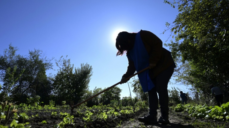 Los comedores populares resisten ante el alto precio de los alimentos en Argentina