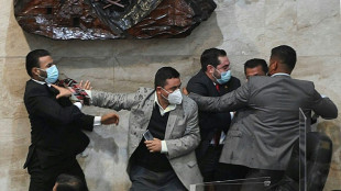 Fliegende Fäuste in Honduras' Parlament vor Vereidigung von neuer Präsidentin