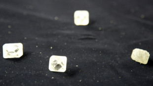 Major crypto, diamond fraud trial opens in France