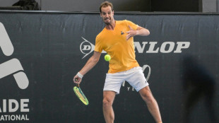 Tennis: Gasquet en finale à Auckland, quatre ans et demi après Bois-le-Duc 