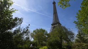 Paris: la mairie s'engage à ne pas abattre d'arbres au pied de la Tour Eiffel