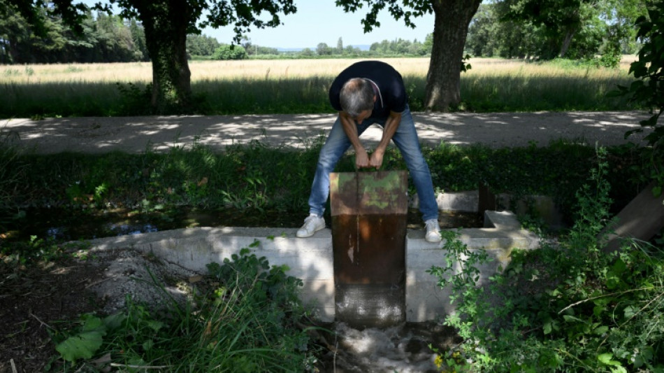 En Provence, quand irrigation agricole, nappe phréatique et biodiversité font bon ménage