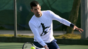 Tennis : Djokovic de retour à Dubaï, un mois après Melbourne