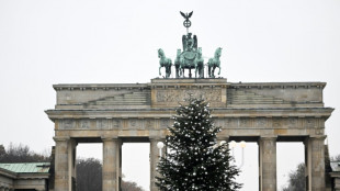 Verfahren wegen Absägens von Christbaumspitze in Berlin vorläufig eingestellt